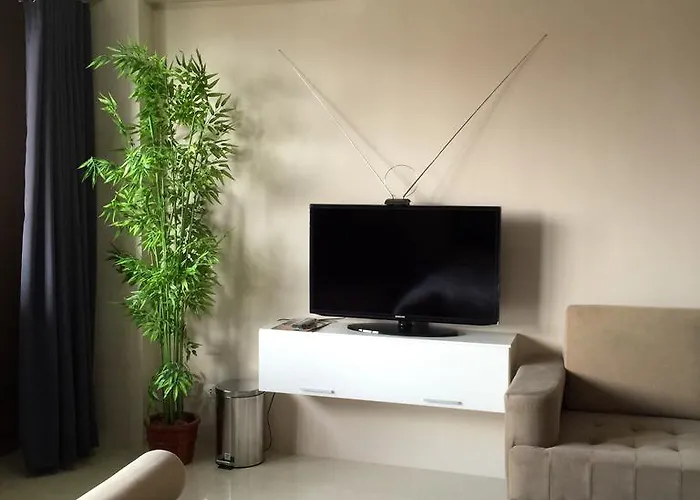 One Palm Tree Cc9n * Манила